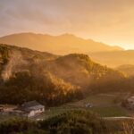 Santé scolaire en territoire rural